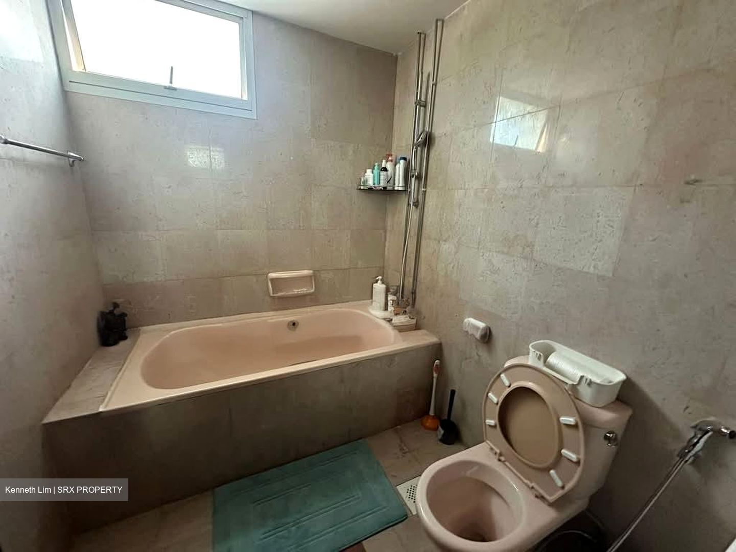 Parkshore (D15), Condominium #573045521